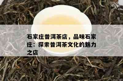 石家庄普洱茶店，品味石家庄：探索普洱茶文化的魅力之店