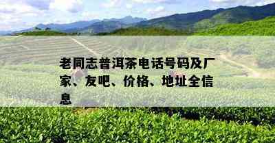 老同志普洱茶电话号码及厂家、友吧、价格、地址全信息