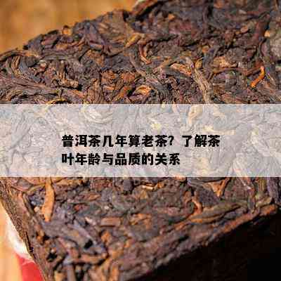 普洱茶几年算老茶？了解茶叶年龄与品质的关系