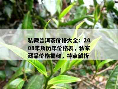 私藏普洱茶价格大全：2008年及历年价格表，私家藏品价格揭秘，特点解析