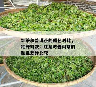 红茶和普洱茶的颜色对比，红绿对决：红茶与普洱茶的颜色差异比较