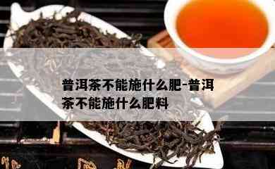 普洱茶不能施什么肥-普洱茶不能施什么肥料