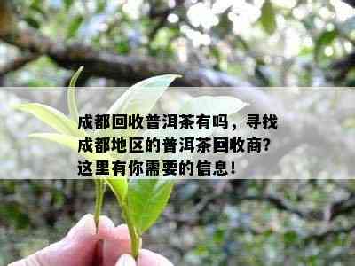 成都回收普洱茶有吗，寻找成都地区的普洱茶回收商？这里有你需要的信息！