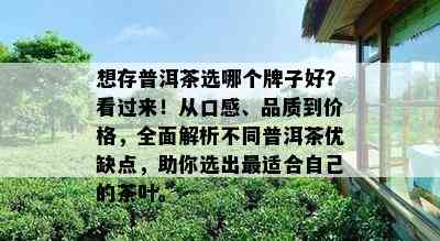 想存普洱茶选哪个牌子好？看过来！从口感、品质到价格，全面解析不同普洱茶优缺点，助你选出最适合自己的茶叶。