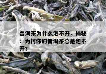 普洱茶为什么泡不开，揭秘：为何你的普洱茶总是泡不开？