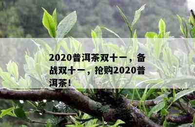 2020普洱茶双十一，备战双十一，抢购2020普洱茶！