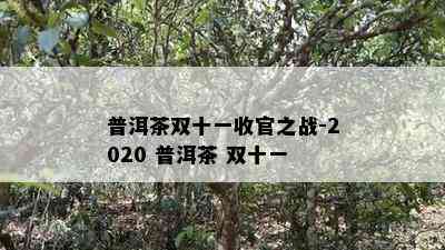 普洱茶双十一收官之战-2020 普洱茶 双十一