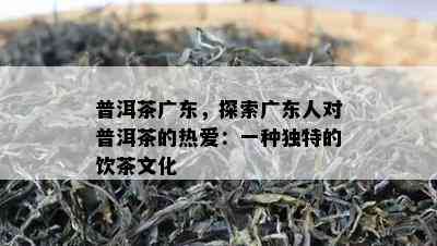 普洱茶广东，探索广东人对普洱茶的热爱：一种独特的饮茶文化