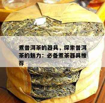 煮普洱茶的器具，探索普洱茶的魅力：必备煮茶器具推荐