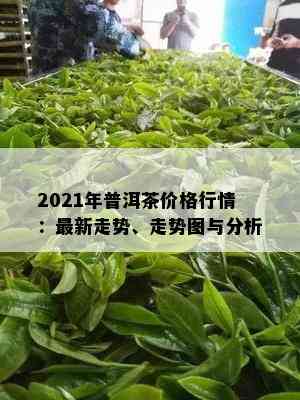 2021年普洱茶价格行情：最新走势、走势图与分析