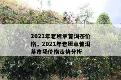 2021年老班章普洱茶价格，2021年老班章普洱茶市场价格走势分析