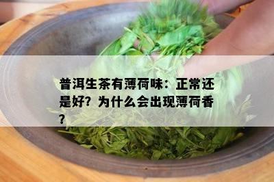 普洱生茶有薄荷味：正常还是好？为什么会出现薄荷香？