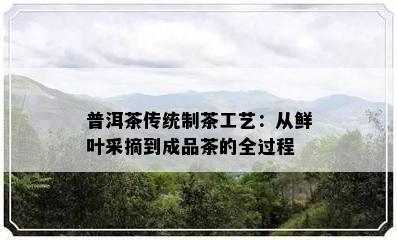 普洱茶传统制茶工艺：从鲜叶采摘到成品茶的全过程