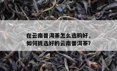 在云南普洱茶怎么选购好，如何挑选好的云南普洱茶？