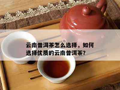 云南普洱茶怎么选择，如何选择优质的云南普洱茶？