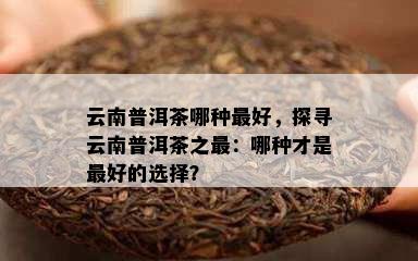 云南普洱茶哪种更好，探寻云南普洱茶之最：哪种才是更好的选择？