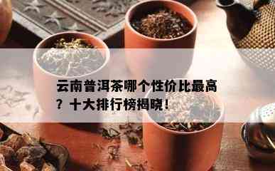 云南普洱茶哪个性价比更高？十大排行榜揭晓！