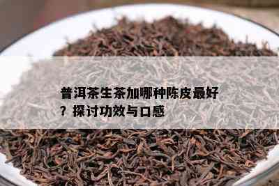 普洱茶生茶加哪种陈皮更好？探讨功效与口感