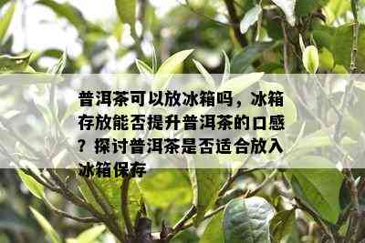 普洱茶可以放冰箱吗，冰箱存放能否提升普洱茶的口感？探讨普洱茶是否适合放入冰箱保存