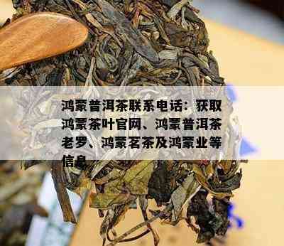 鸿蒙普洱茶联系电话：获取鸿蒙茶叶官网、鸿蒙普洱茶老罗、鸿蒙茗茶及鸿蒙业等信息