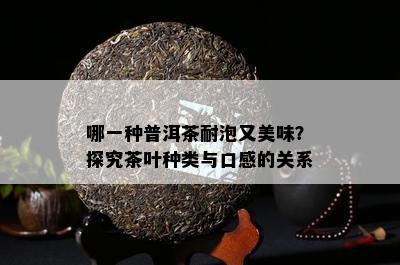 哪一种普洱茶耐泡又美味？探究茶叶种类与口感的关系