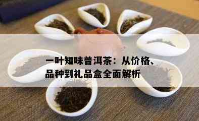 一叶知味普洱茶：从价格、品种到礼品盒全面解析