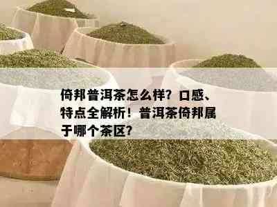 倚邦普洱茶怎么样？口感、特点全解析！普洱茶倚邦属于哪个茶区？