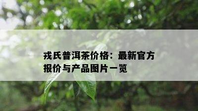 戎氏普洱茶价格：最新官方报价与产品图片一览