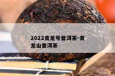 2022青龙号普洱茶-青龙山普洱茶