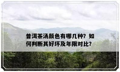 普洱茶汤颜色有哪几种？如何判断其好坏及年限对比？