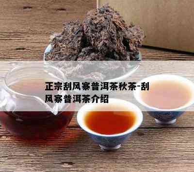 正宗刮风寨普洱茶秋茶-刮风寨普洱茶介绍