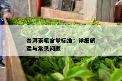 普洱茶氟含量标准：详细解读与常见问题