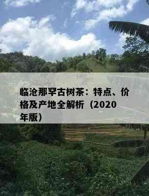 临沧那罕古树茶：特点、价格及产地全解析（2020年版）