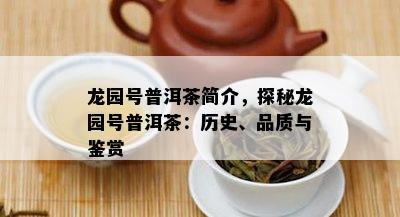 龙园号普洱茶简介，探秘龙园号普洱茶：历史、品质与鉴赏