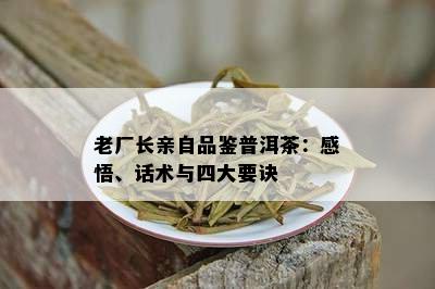 老厂长亲自品鉴普洱茶：感悟、话术与四大要诀