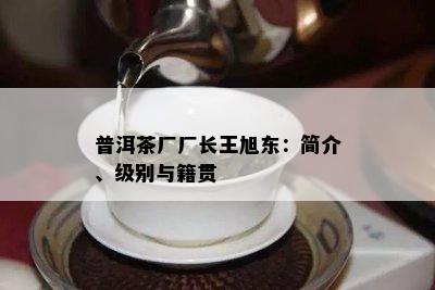 普洱茶厂厂长王旭东：简介、级别与籍贯