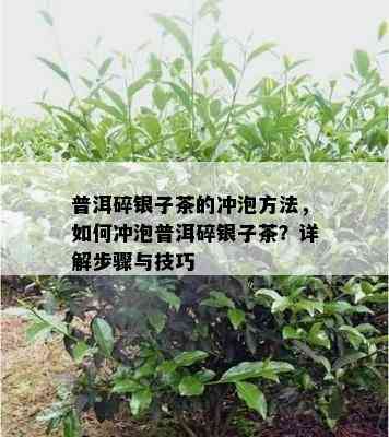 普洱碎银子茶的冲泡方法，如何冲泡普洱碎银子茶？详解步骤与技巧