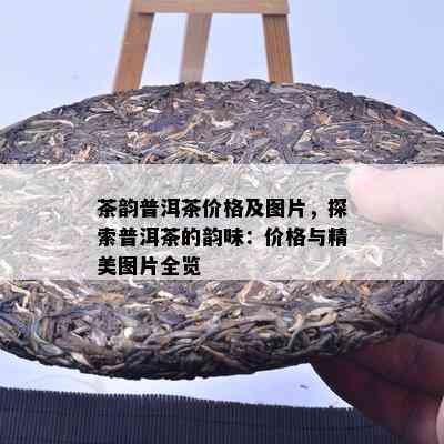 茶韵普洱茶价格及图片，探索普洱茶的韵味：价格与精美图片全览