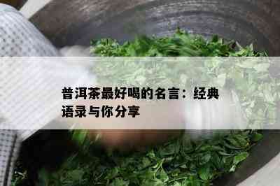 普洱茶更好喝的名言：经典语录与你分享