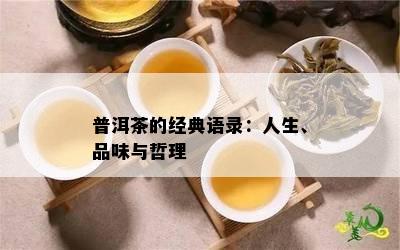 普洱茶的经典语录：人生、品味与哲理