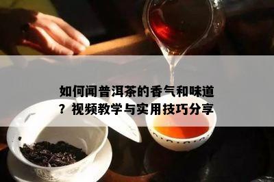 如何闻普洱茶的香气和味道？视频教学与实用技巧分享