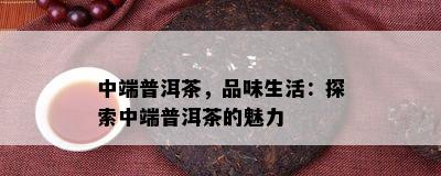 中端普洱茶，品味生活：探索中端普洱茶的魅力