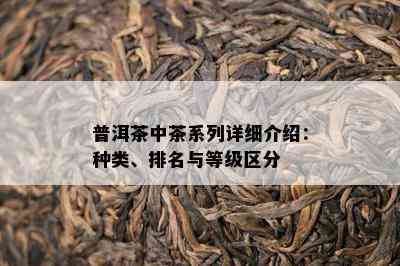 普洱茶中茶系列详细介绍：种类、排名与等级区分