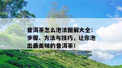 普洱茶怎么泡法图解大全：步骤、方法与技巧，让你泡出最美味的普洱茶！