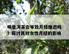 喝普洱茶会导致月经推迟吗？探讨其对女性月经的影响