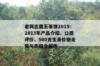 老同志霸王茶饼2019：2013年产品介绍、口感评价、500克生茶价格走势与历程全解析