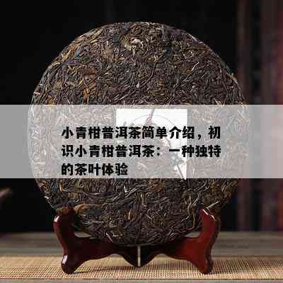 小青柑普洱茶简单介绍，初识小青柑普洱茶：一种独特的茶叶体验