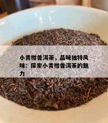 小青柑普洱茶，品味独特风味：探索小青柑普洱茶的魅力