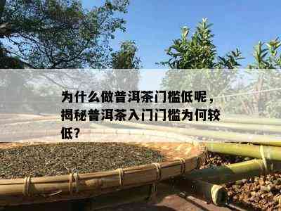 为什么做普洱茶门槛低呢，揭秘普洱茶入门门槛为何较低？