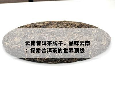 云南普洱茶牌子，品味云南：探索普洱茶的世界顶级